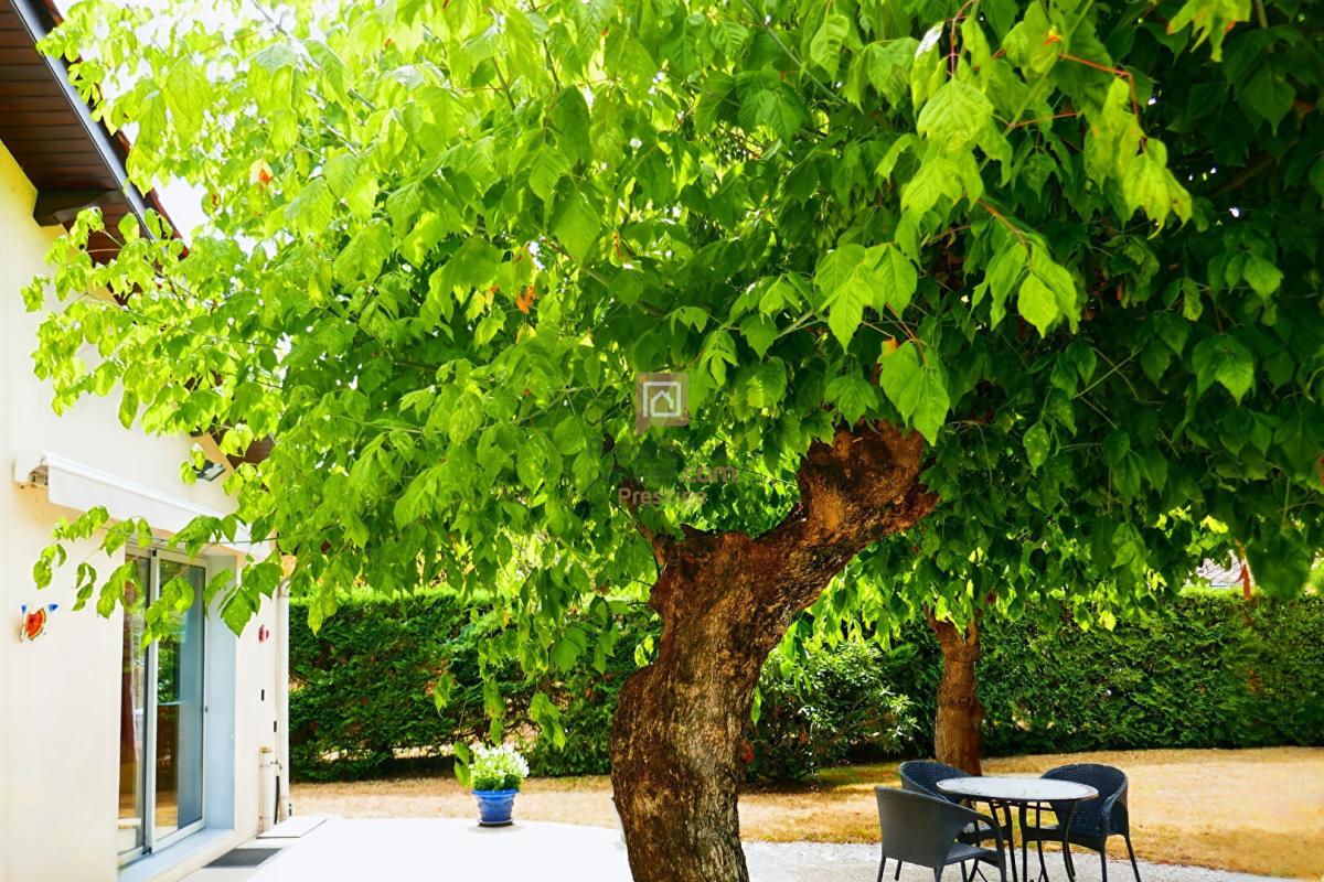 PESSAC Pessac Maison de plain-pied avec une belle parcelle fort potentiel avec deux garages  et une dépendance 12