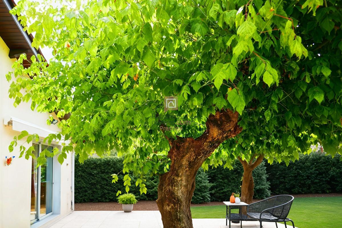 PESSAC Pessac Maison de plain-pied avec une belle parcelle fort potentiel avec deux garages  et une dépendance 13