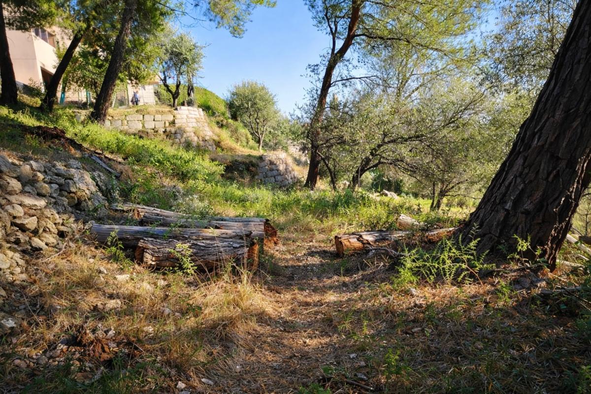 SAINT-MARTIN-DU-VAR Terrain constructible Saint Martin Du Var 1129 m2, vue dégagée 3