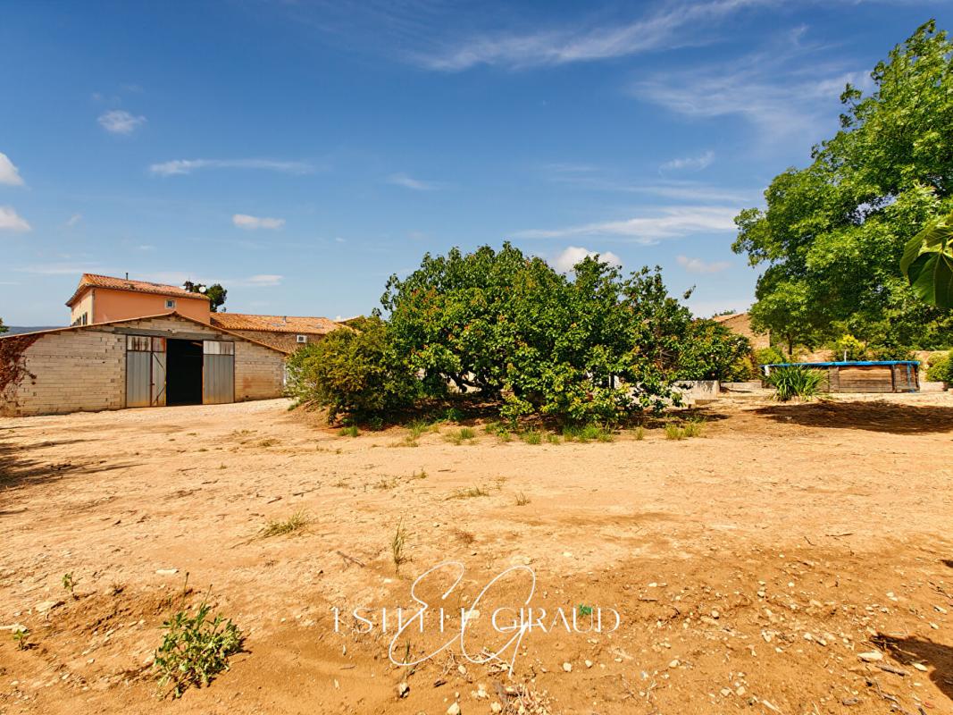 FELINES-MINERVOIS Ancien domaine Viticole, Maison avec terrasse, Grande parcelle, 3 Garages, Hangar, Remise 13