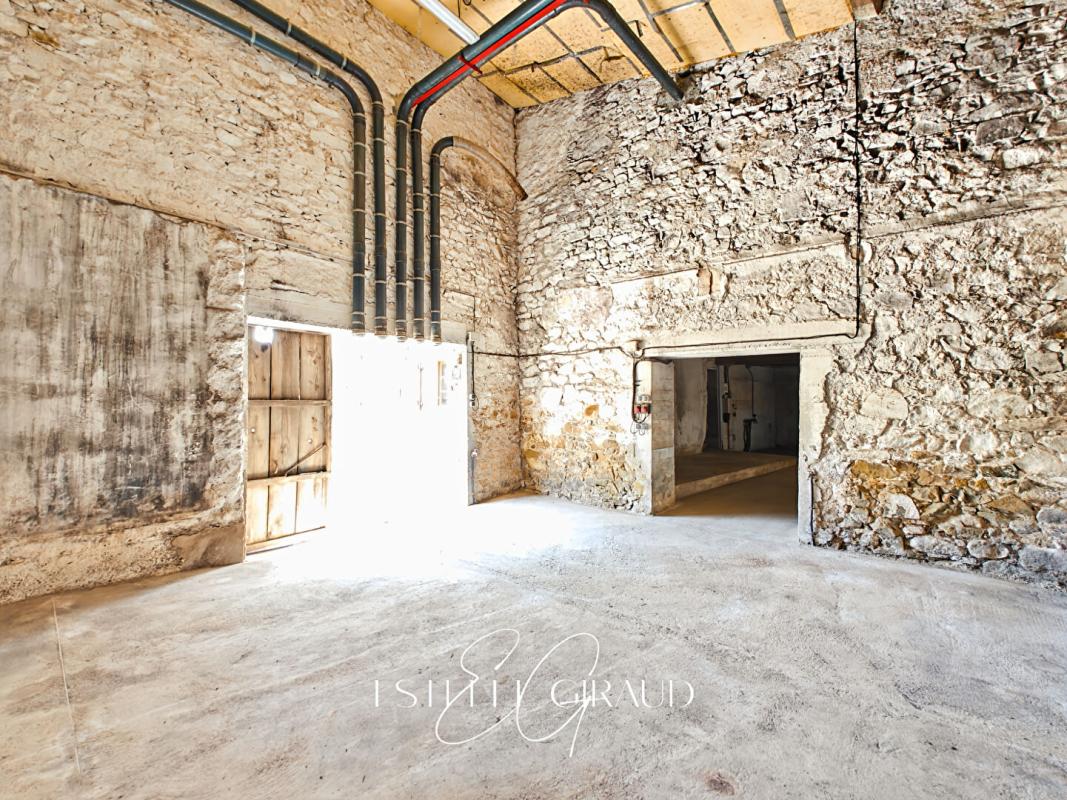 FELINES-MINERVOIS Ancien domaine Viticole, Maison avec terrasse, Grande parcelle, 3 Garages, Hangar, Remise 9