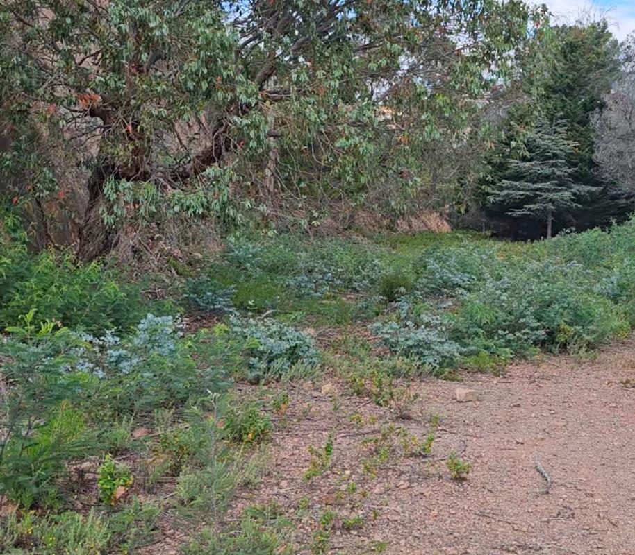 MANDELIEU-LA-NAPOULE Terrain à bâtir dans le Parc Résidentiel de l'Estérel Mandelieu 21850 m2 4