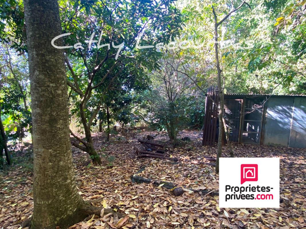 BOUILLANTE Propriété vue mer dans un parc de 4000M² - Bouillante 18