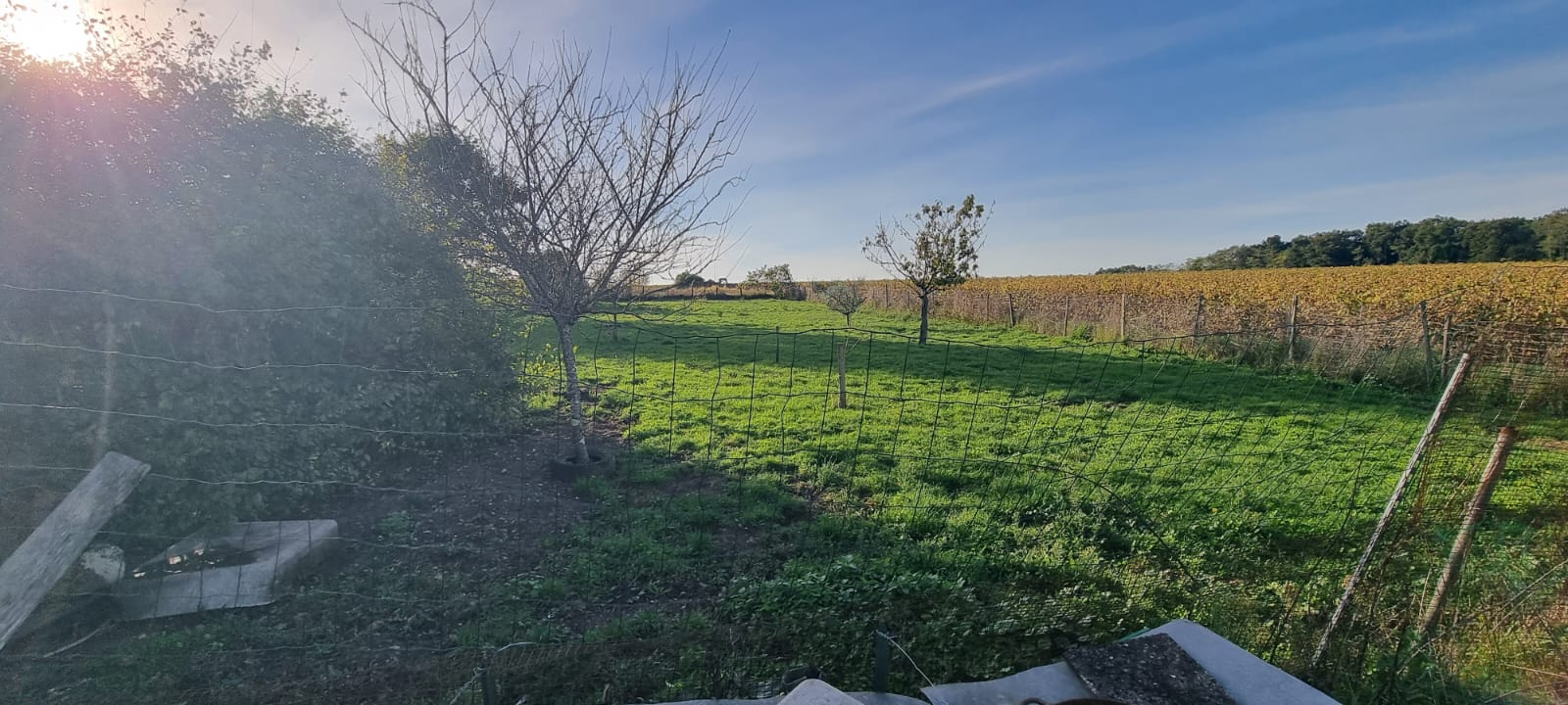 SAINT-SAUVEUR belle propriété de charme en pierres proche Pauillac 10 pièce(s) 299 m2 5