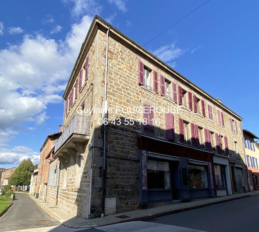 MONTBRISON 42 BOEN - IMMEUBLE MIXTE LOUES, COMMERCES ET LOGEMENTS 420 m² 2