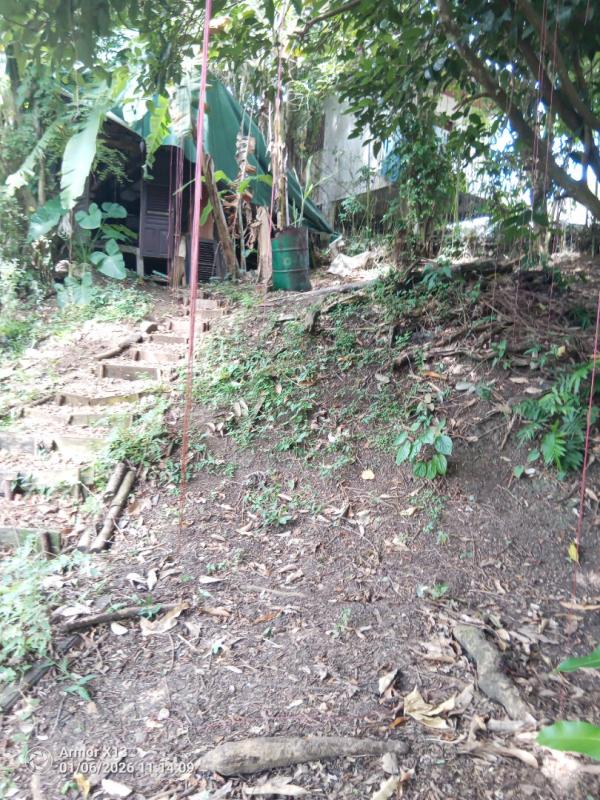 FORT-DE-FRANCE Terrain ravine vilaine 840m2 2