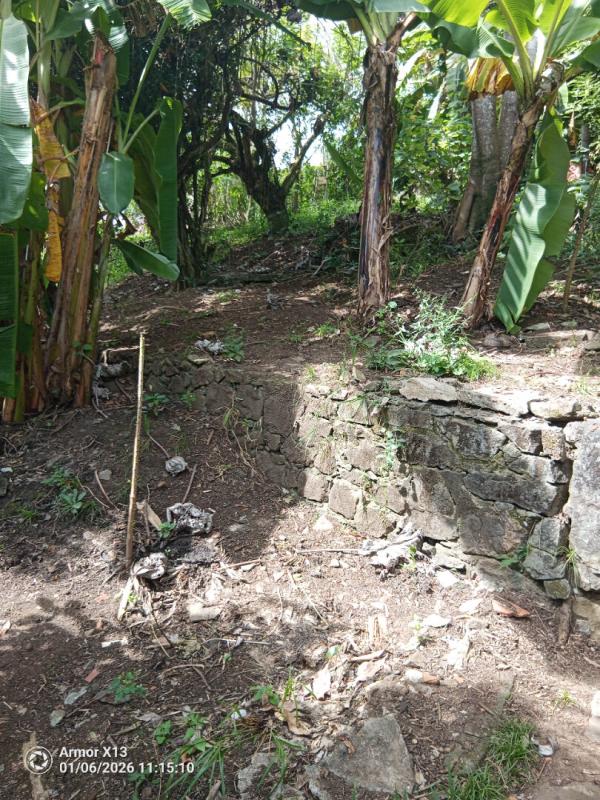 FORT-DE-FRANCE Terrain ravine vilaine 840m2 5