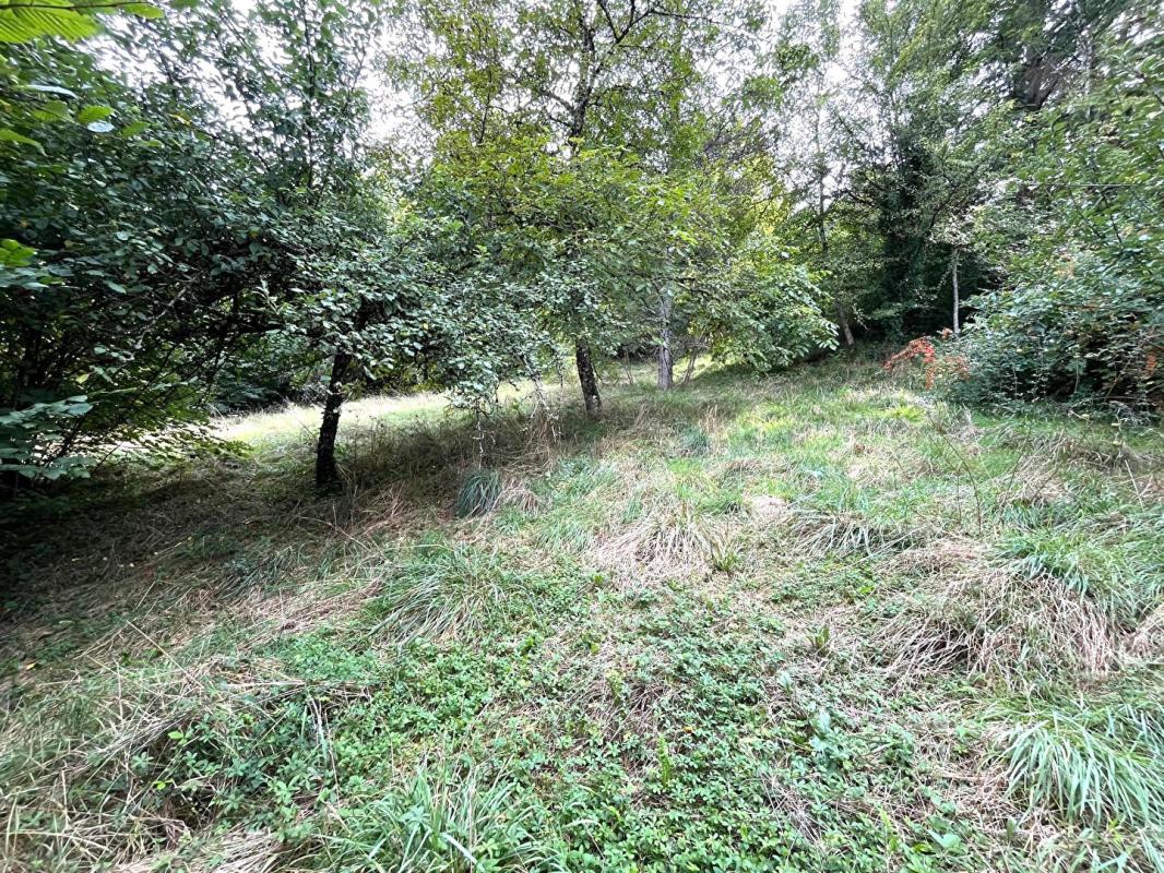 MONTFLEUR Ensemble immobilier à fort potentiel  sur 1,3 hectare 8