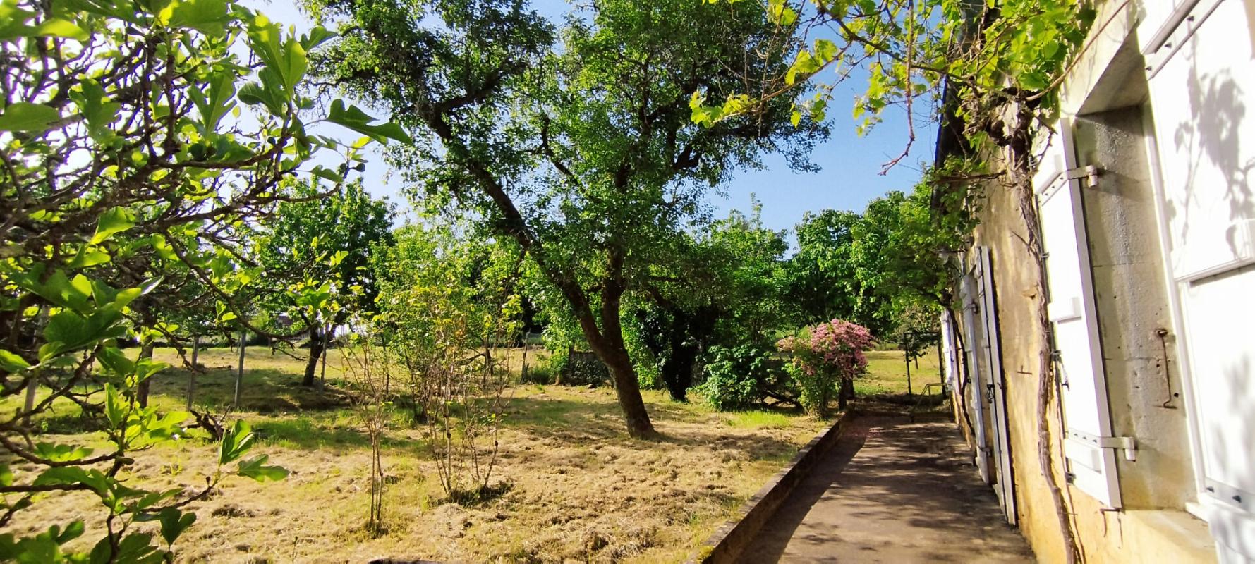 SAINTE-ORSE Maison de Bourg sur un terrain clos de 2365m² 13
