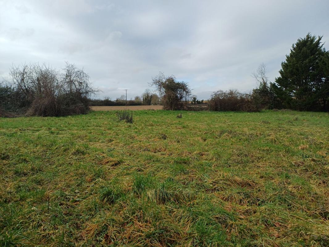 EPANNES La Rochénard - Terrain à bâtir de 2 200m² 4