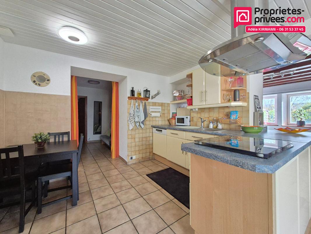 POUGNY Appartement duplex 66m2 - jardin - double garage - Pougny 01550 12