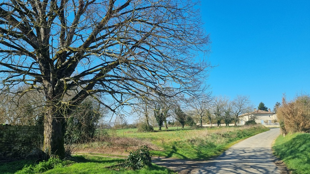 HANC Maison de village  5 pièces avec dépendances et grand terrain  Valdelaume (79) 1