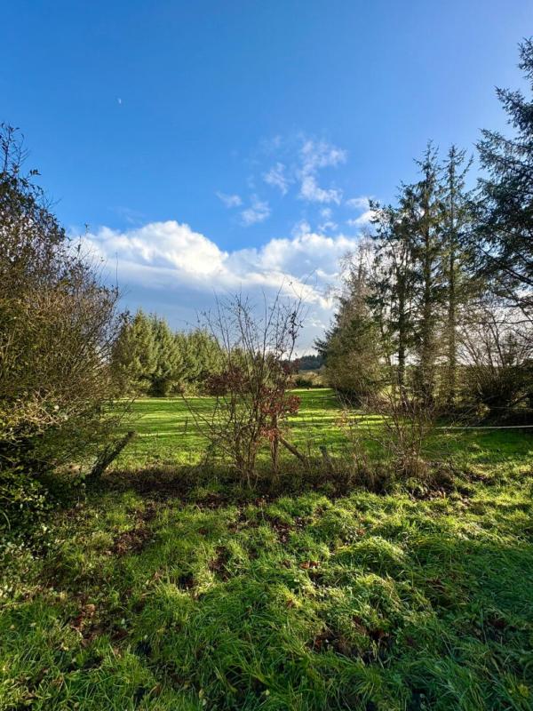 CAUREL Maison Caurel 4 pièce(s) 80 m2 17