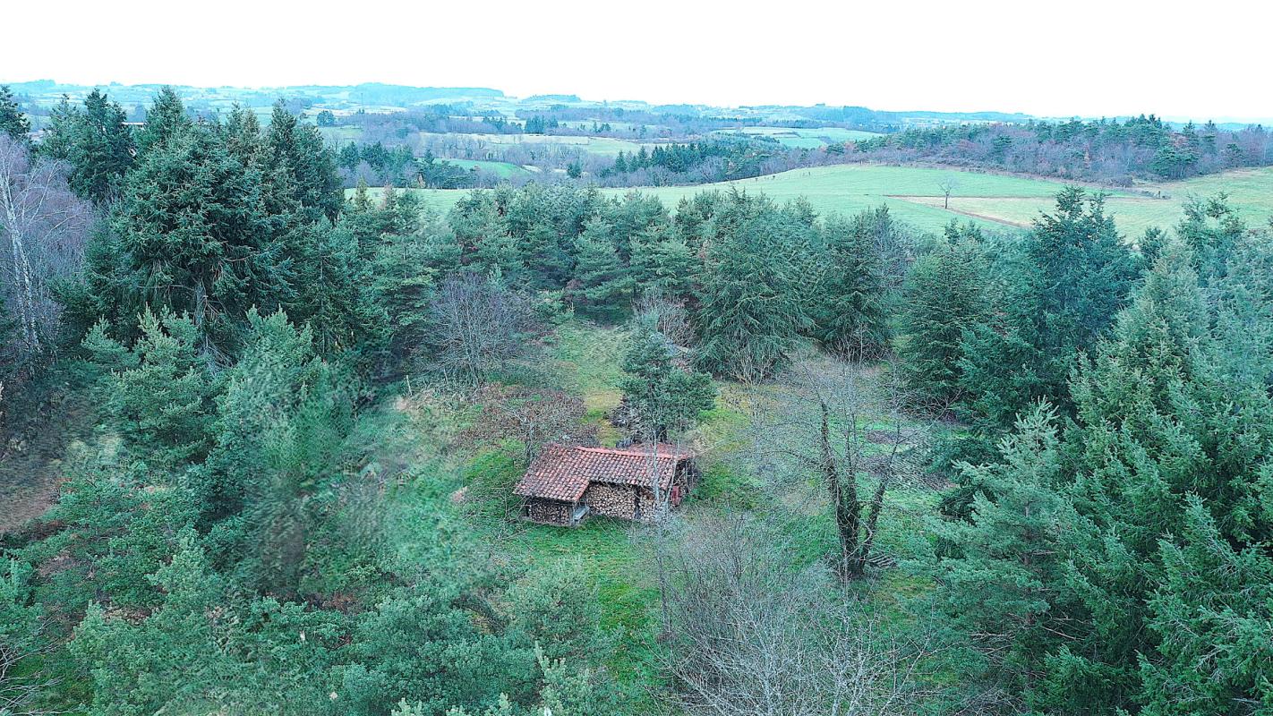 SAINT-SIXTE Demeure de caractère de près de 195 m² d'histoire sur un parc clos de 1,5 hectare 5