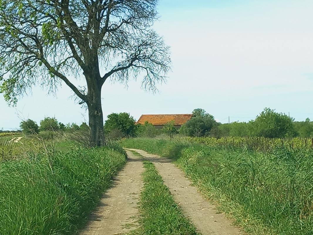 CAUX 4,5 hectares de terre agricole avec  Grange de 95m2 à REHABILITER sur le terrain 7