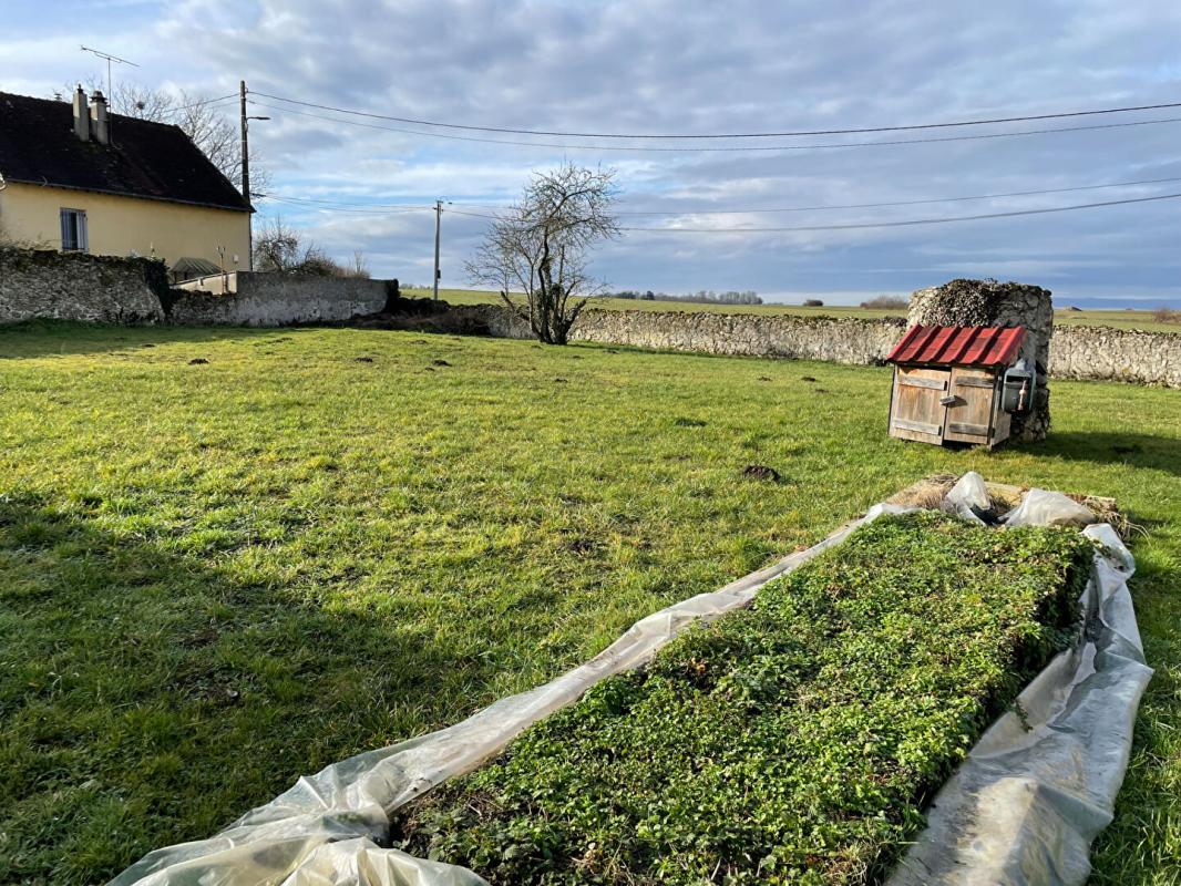 BUSSIERES Terrain Bussiere 600 m2 1