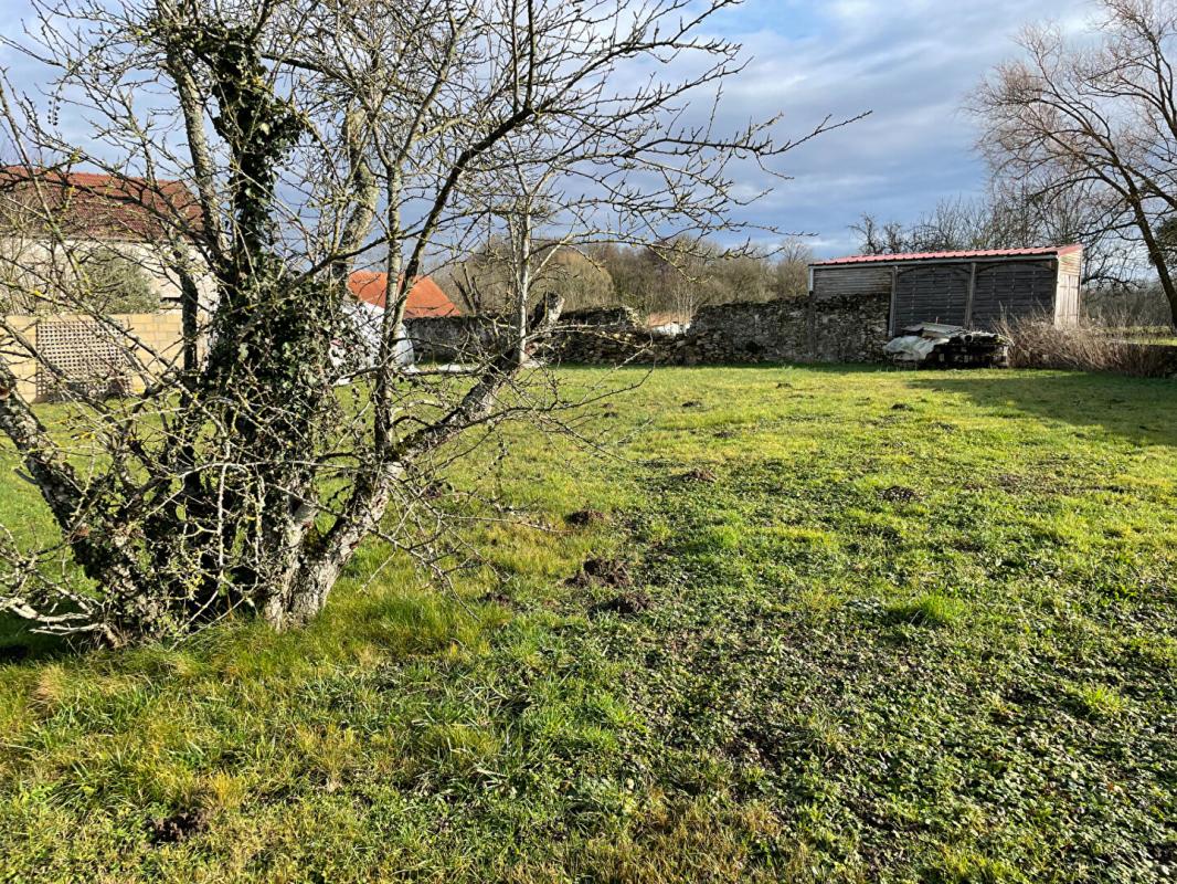BUSSIERES Terrain Bussiere 600 m2 6