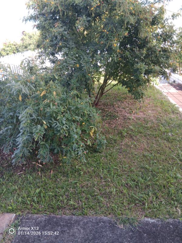 BASSE-POINTE Maison 4 pièce(s) 206 m2 a basse-pointe 8