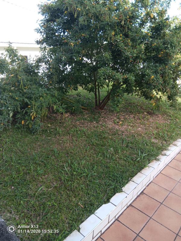 BASSE-POINTE Maison 4 pièce(s) 206 m2 a basse-pointe 9