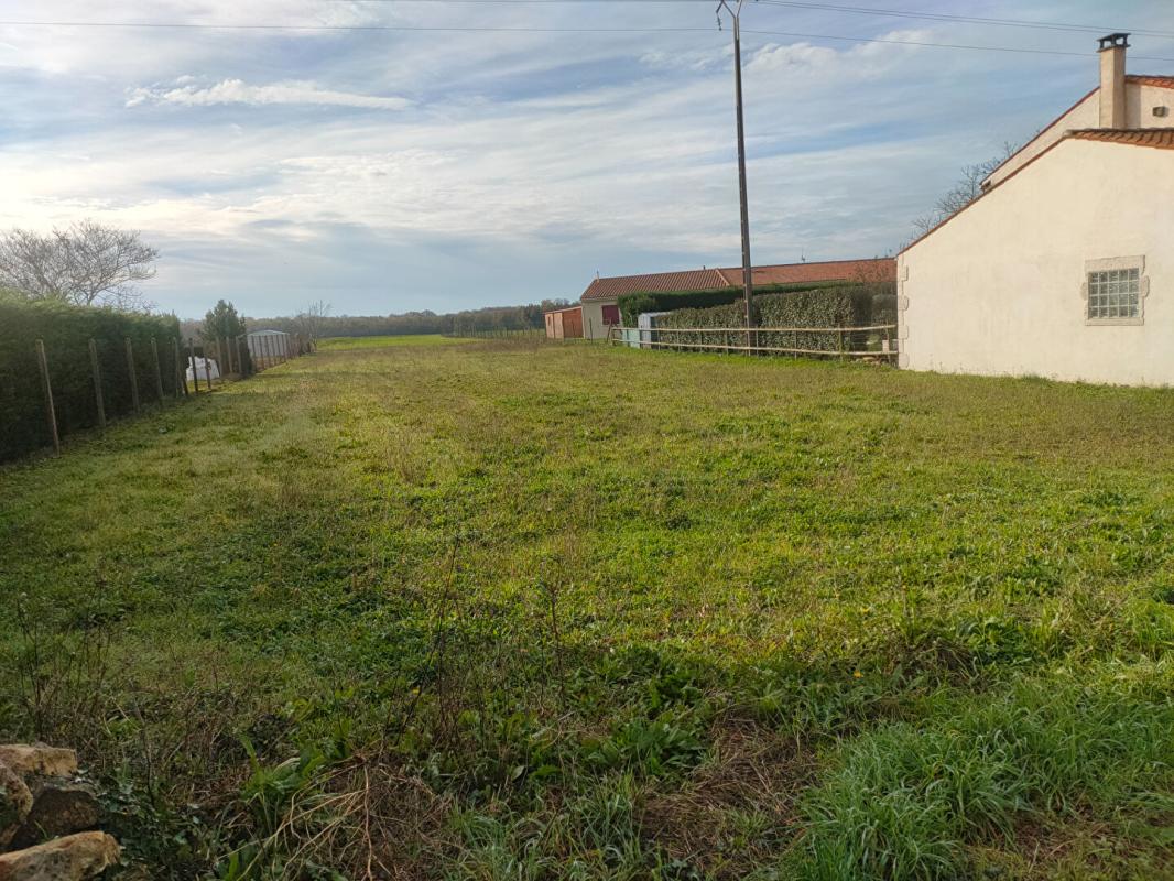 SAINT-SAVINIEN Terrain Saint Savinien 1298 m2 5