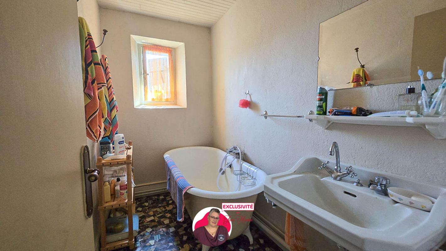 ISSOIRE grande propriété en 2 parties 640 m² sur petit jardin 17