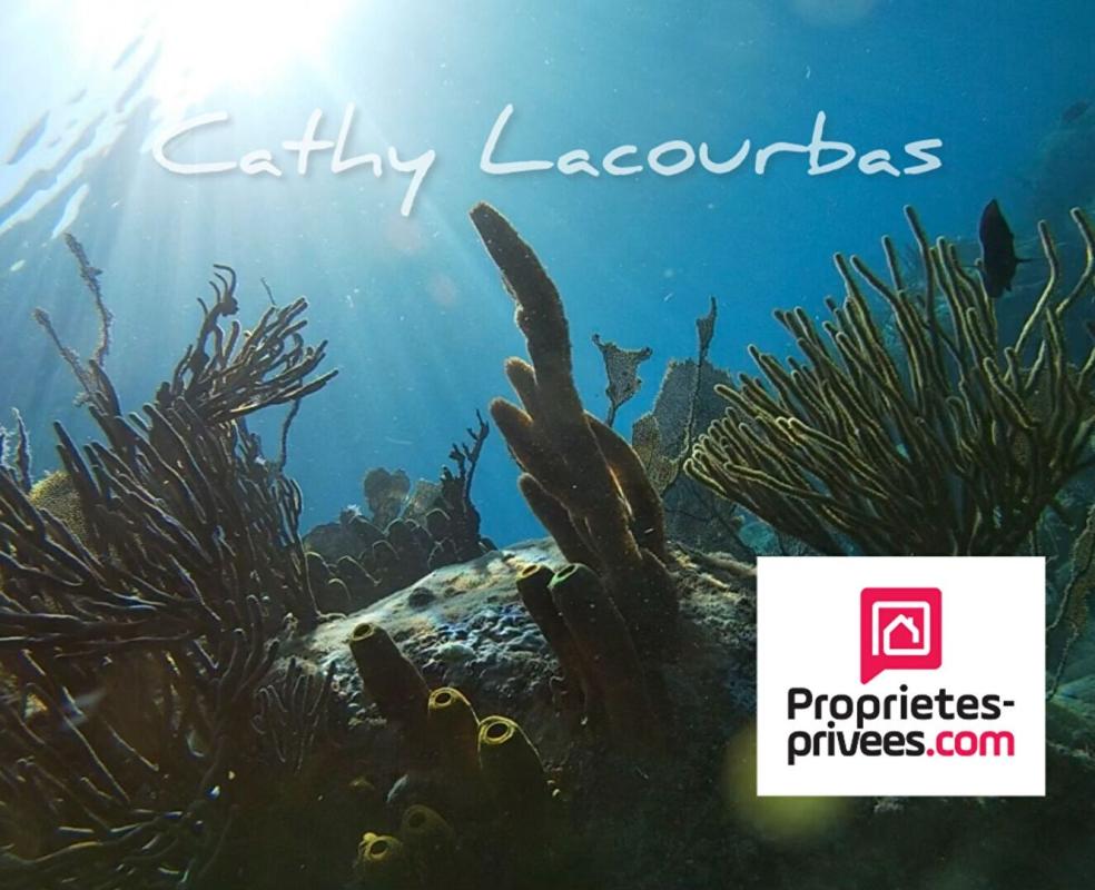 DESHAIES Domaine touristique clés en main- Deshaies 20 pièce(s) 400 m2 2