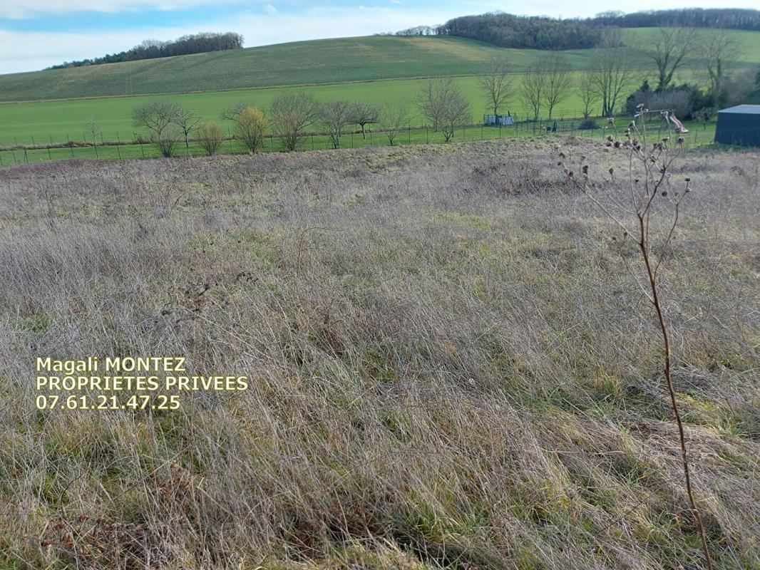 AIX-EN-OTHE TERRAIN A BATIR DE 3034 m2 - AIX VILLEMAUR PALIS 10160 2