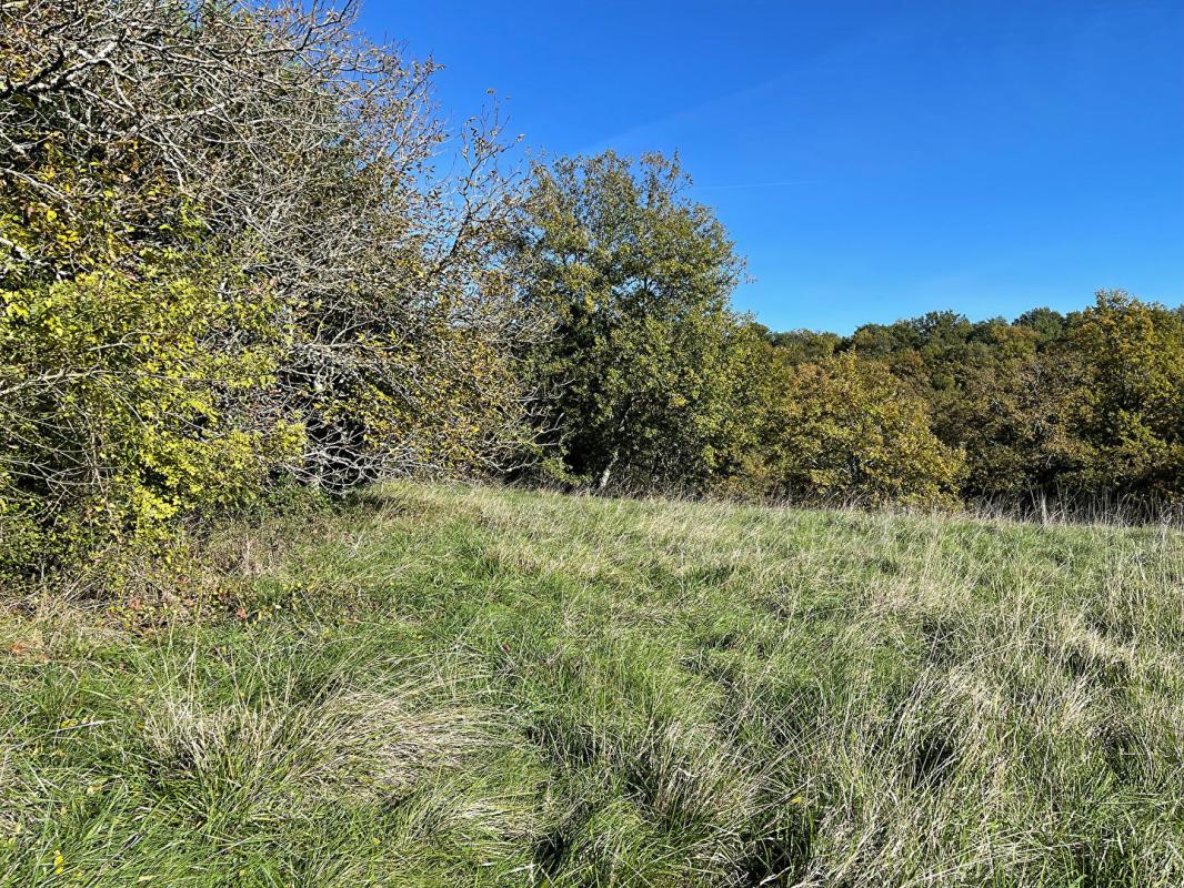 BUSSAC Superbe terrain constructible avec vue, viabilisé, à 17 km du centre de Périgueux 7