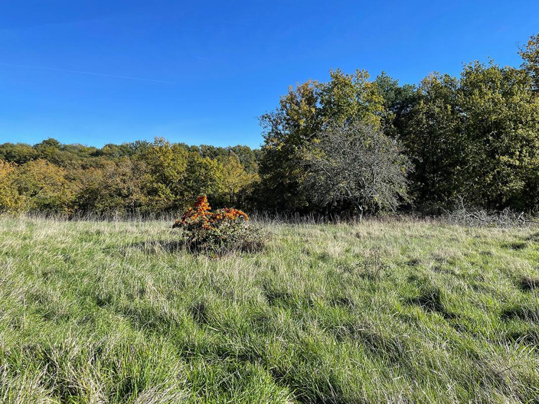 BUSSAC Superbe terrain constructible avec vue, viabilisé, à 17 km du centre de Périgueux 8