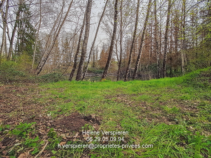 BELVES Maison Carves 6 pièce(s) 160 m2 terrain 11440 m2 + 1915 m2 10