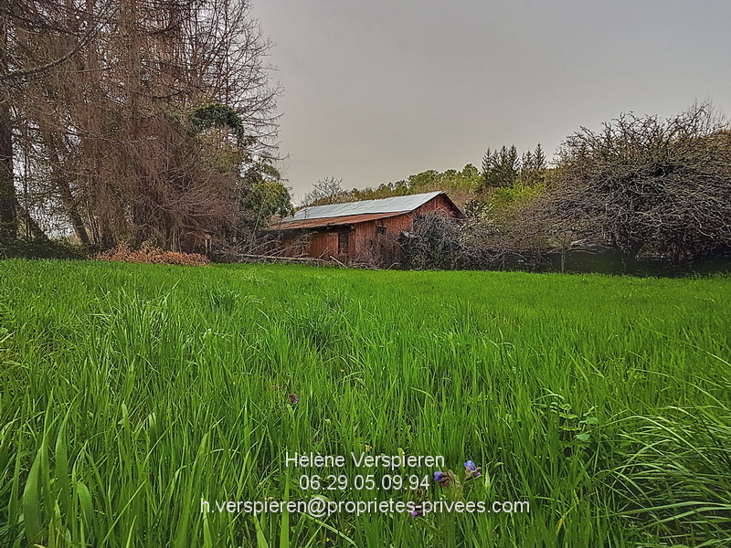 BELVES Maison Carves 6 pièce(s) 160 m2 terrain 11440 m2 + 1915 m2 11