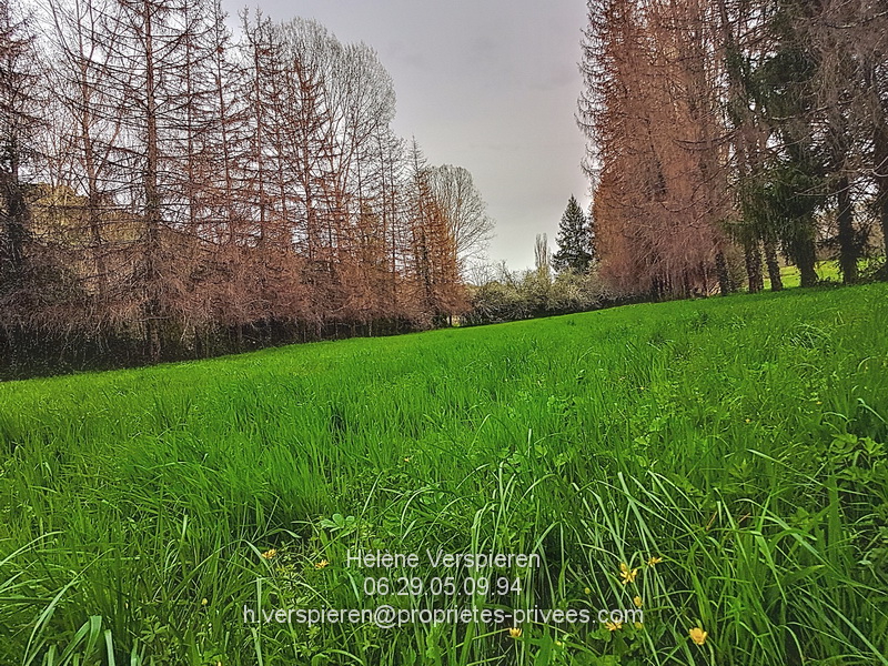 BELVES Maison Carves 6 pièce(s) 160 m2 terrain 11440 m2 + 1915 m2 12