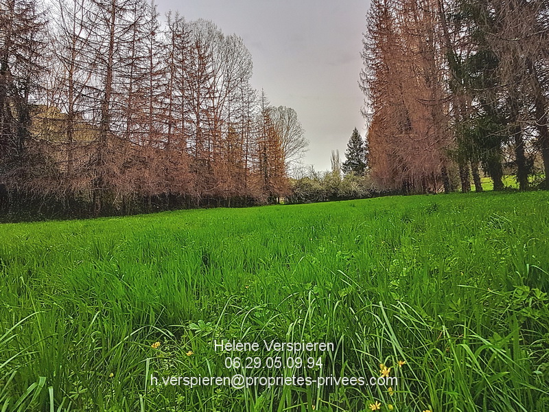 BELVES Maison Carves 6 pièce(s) 160 m2 terrain 11440 m2 + 1915 m2 13