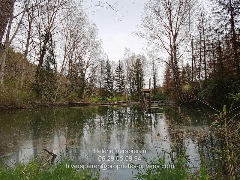 BELVES Maison Carves 6 pièce(s) 160 m2 terrain 11440 m2 + 1915 m2 15