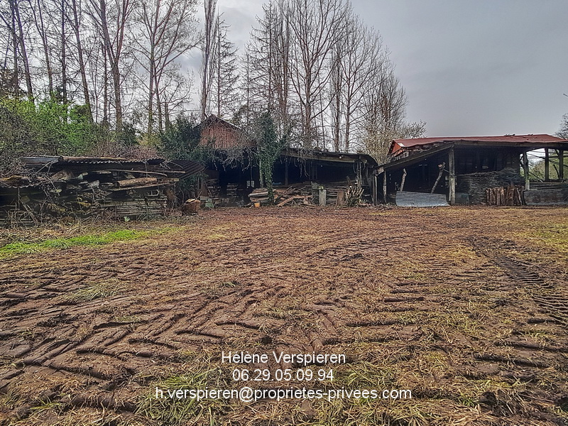 BELVES Maison Carves 6 pièce(s) 160 m2 terrain 11440 m2 + 1915 m2 8