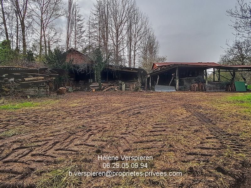 BELVES Maison Carves 6 pièce(s) 160 m2 terrain 11440 m2 + 1915 m2 9