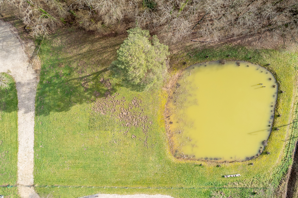 THENIOUX Terrain constructible - Thenioux, avec un étang - 4322 m²  - 4