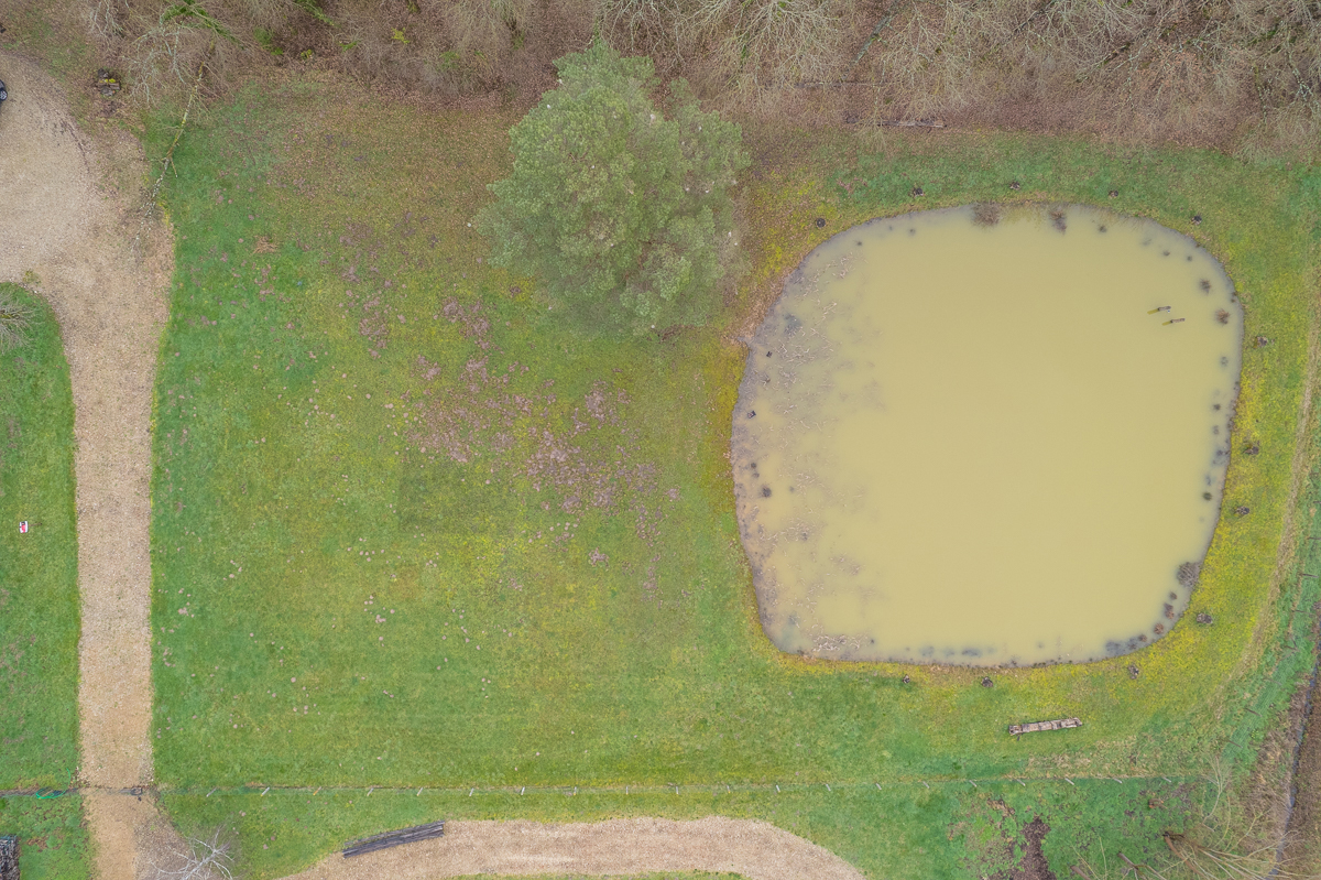 THENIOUX Terrain constructible - Thenioux, avec un étang - 4322 m²  - 6