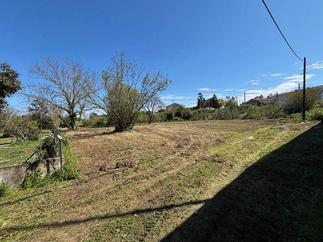 VENZOLASCA TERRAIN 2700 m² NON CONSTRUCTIBLE ZONE N  EN BORD DE ROUTE 4