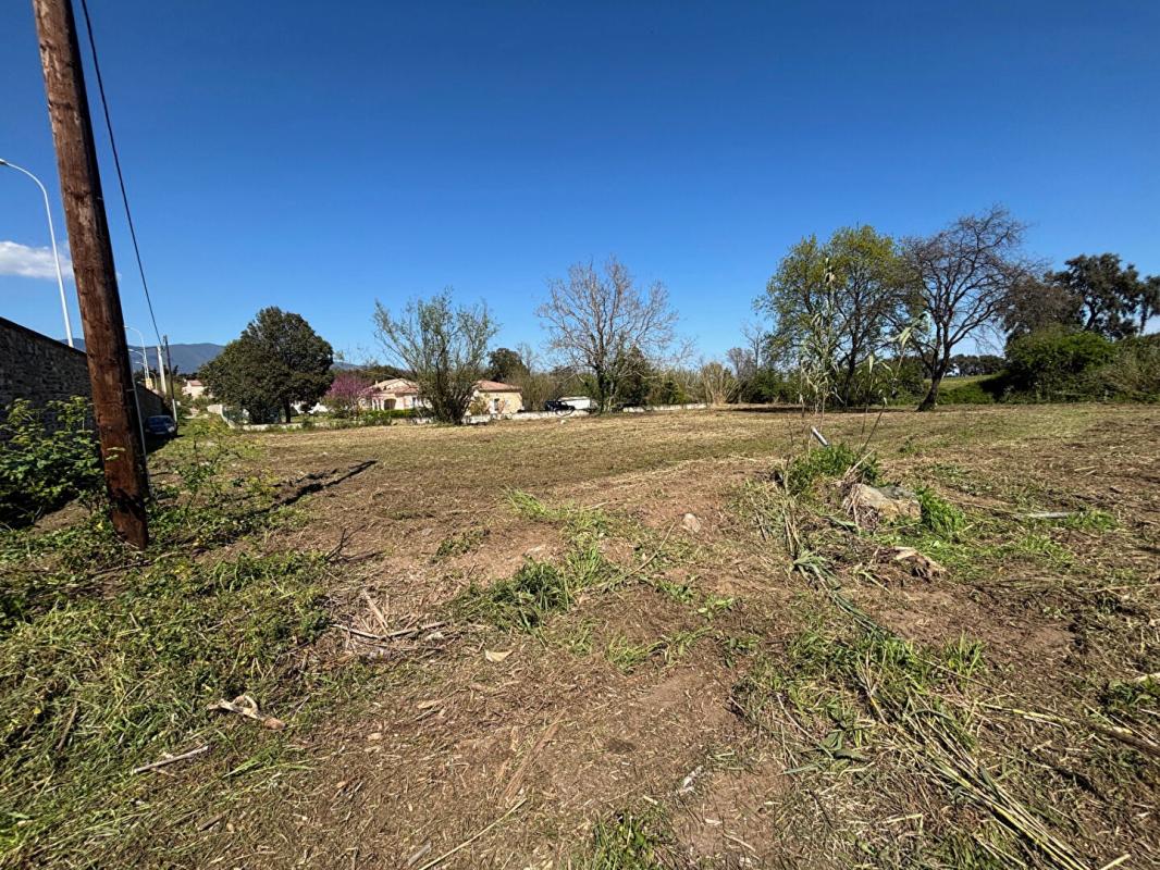 VENZOLASCA TERRAIN 2700 m² NON CONSTRUCTIBLE ZONE N  EN BORD DE ROUTE 5