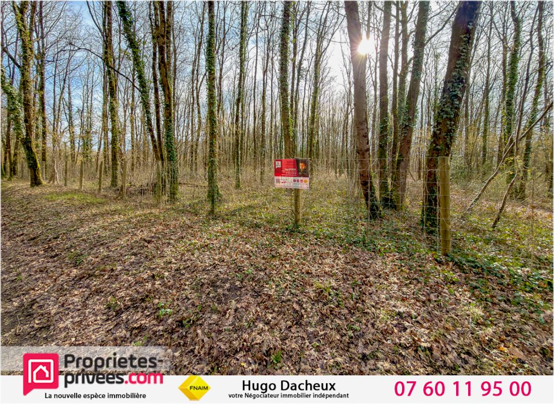THENIOUX Terrain constructible - 6783 m² - Boisé - 1