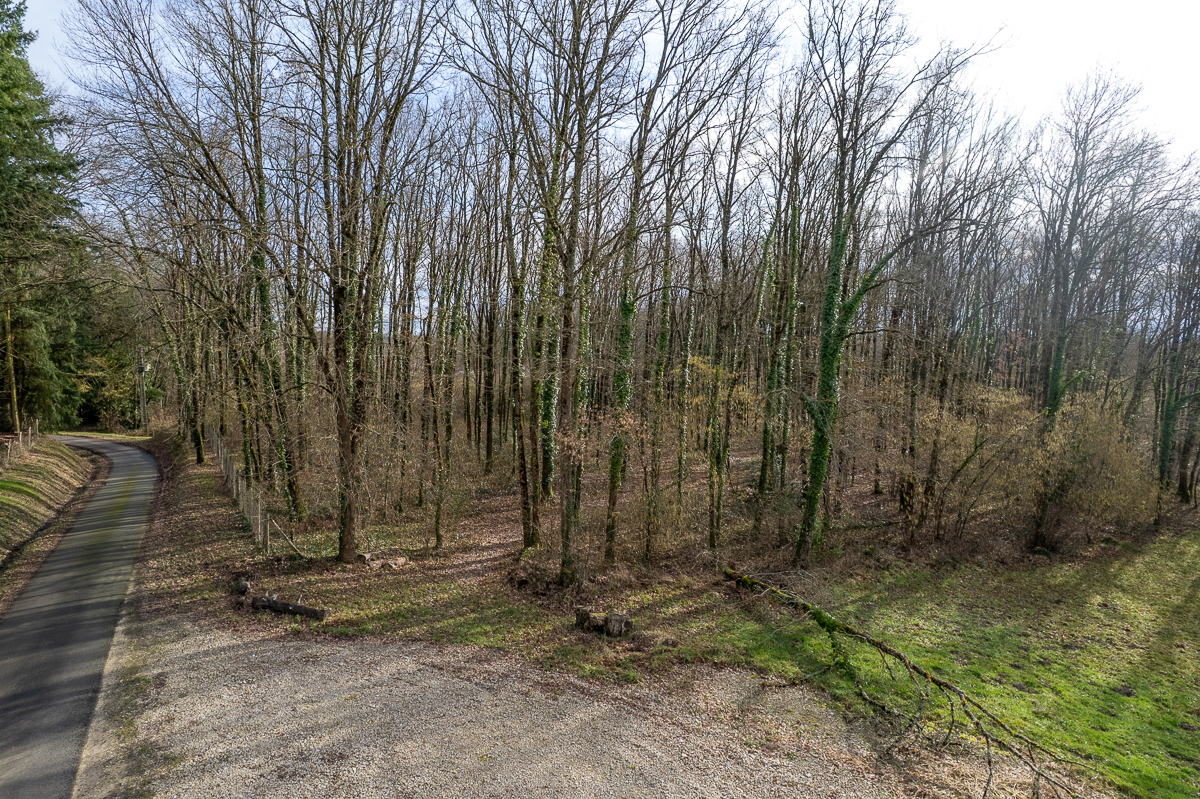 THENIOUX Terrain constructible - 6783 m² - Boisé - 3