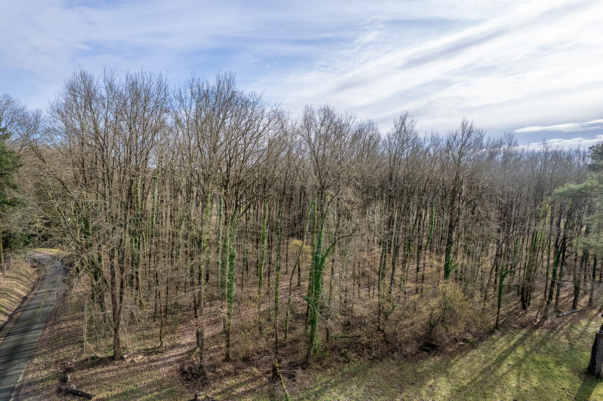 THENIOUX Terrain constructible - 6783 m² - Boisé - 4