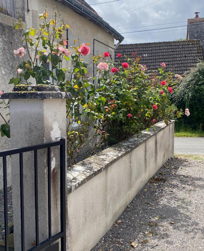 CHATILLON-SUR-INDRE Maison Chatillon Sur Indre 5 pièce(s) 121 m2 15