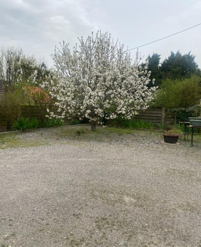 CHATILLON-SUR-INDRE Maison Chatillon Sur Indre 5 pièce(s) 121 m2 4