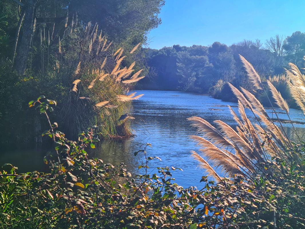 SIX-FOURS-LES-PLAGES APPARTEMENT T2/3- SIX FOURS - LA COUDOULIERE 7