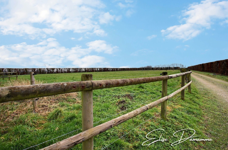 SAINT-ROMAIN-DE-COLBOSC NOUVEAUTE EXCLUSIVE - Propriété comprenant maison, gîte et dépendances sur 9900m² 3