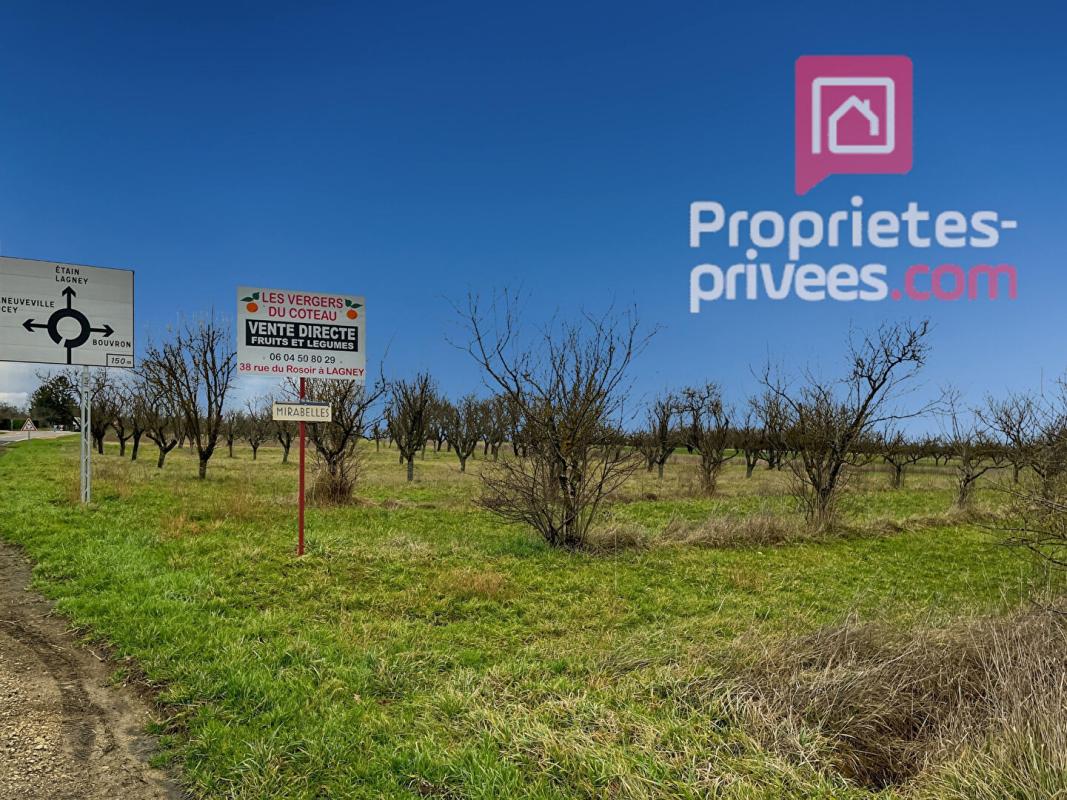 LUCEY 54200 LUCEY -Terrain 1433 m2 avec verger/Sécurisé/parking/Portail 5m20/35990HAI 14