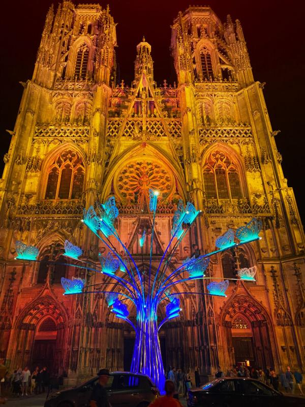 LUCEY 54200 LUCEY -Terrain 1433 m2 avec verger/Sécurisé/parking/Portail 5m20/35990HAI 17