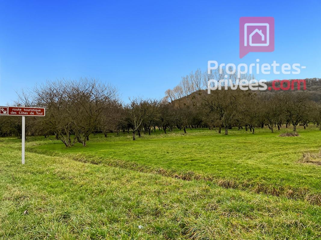 LUCEY 54200 LUCEY -Terrain 1433 m2 avec verger/Sécurisé/parking/Portail 5m20/35990HAI 5